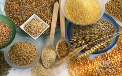 <b>糧食行業(yè)選擇什么樣的振動(dòng)篩比較合適？</b>